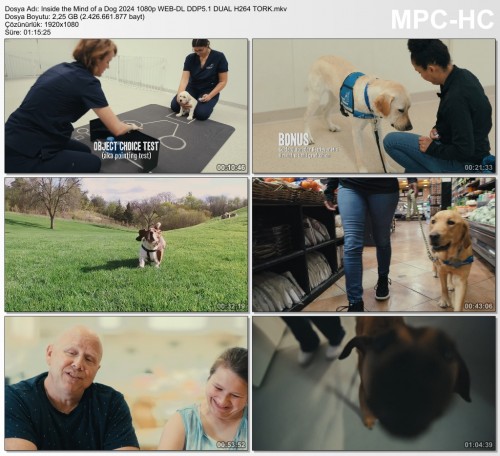 Inside-the-Mind-of-a-Dog-2024-1080p-WEB-DL-DDP5.1-DUAL-H264-TORK.mkv_thumbs_2024.08.09_23.38.19.jpg