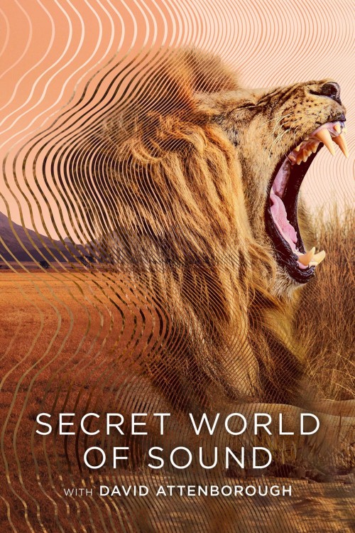 Secret-World-of-Sound-with-David-Attenborough.jpg