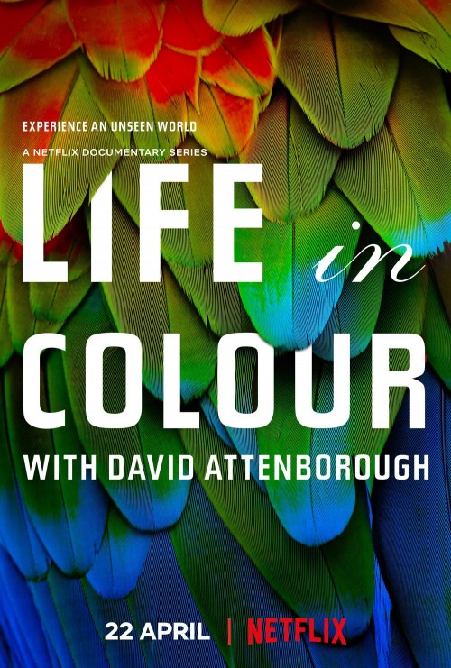 Attenboroughs-Life-in-Colour.jpg