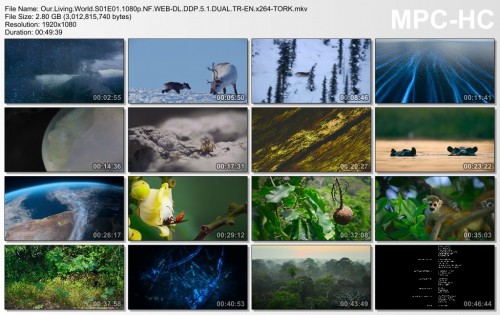 Our.Living.World.S01E01.1080p.jpg