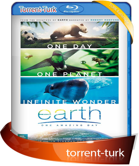 earth.one.amazing.day.TORK.png