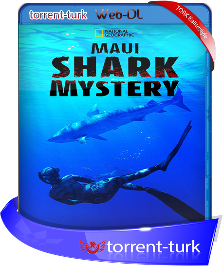 maui.shark.mystery.TORK.png