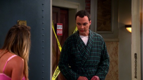 the.big.bang.theory.S07.1.jpg