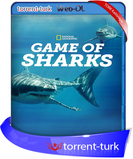 game.of.sharks.TORK.png