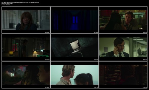Blackhat.2015.1080p.BluRay.REMUX.AVC.DTS-HD.5.1.DUAL-TORK.jpg