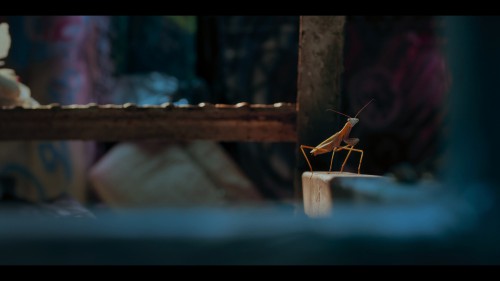 a.real.bugs.life.5.jpg