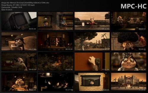 Memoir.Of.A.Snail.2024.BDRip.H264.AC3.TORK.mkv_thumbs.jpg