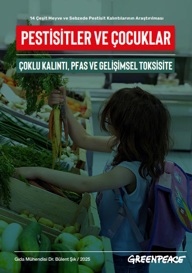 Ekran-goruntusu-2025-05-17-003347.png