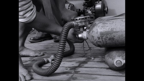 Kaptan.Cousteau.2.jpg