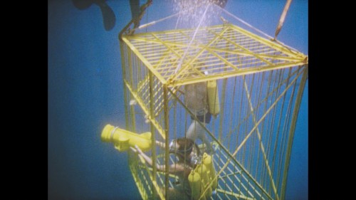Kaptan.Cousteau.3.jpg