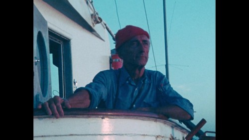 Kaptan.Cousteau.4.jpg
