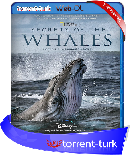 Secret.Of.The.Whales-TORK.png