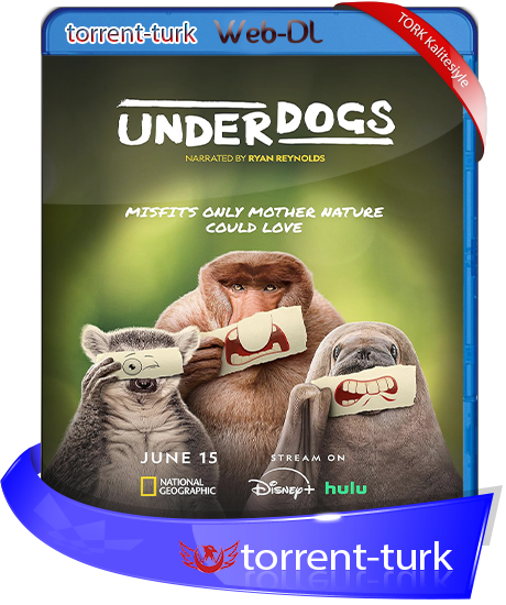 Underdogs.2025-TORK.png