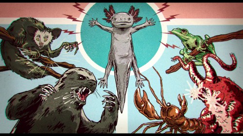 Underdogs.5.jpg