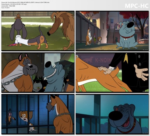 Son.Bir.Macera.2025.1080p.NF.WEB-DL.DDP5.1.Atmos.H.264-TORK.mkv_thumbs.jpg