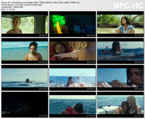 Something.In.the.Water.2024.1080p.WEB-DL.AAC.DUAL.H264-TORK.mkv.jpg