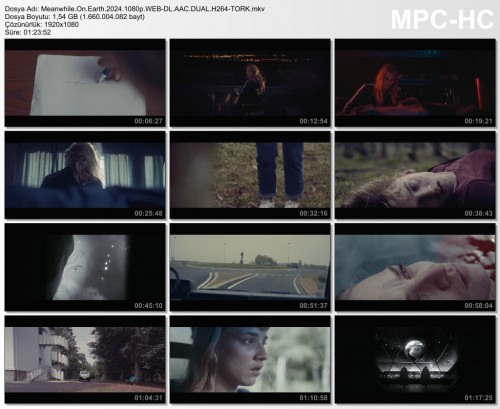 Meanwhile.On.Earth.2024.1080p.WEB-DL.AAC.DUAL.H264-TORK.mkv.jpg