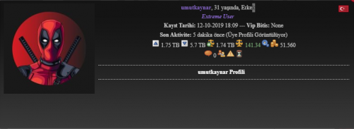 torrent-ss2.png