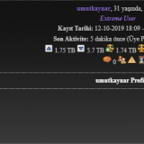 torrent-ss2