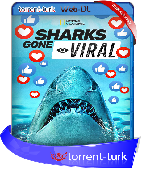 Sharks.Gone.Viral-TORK.png