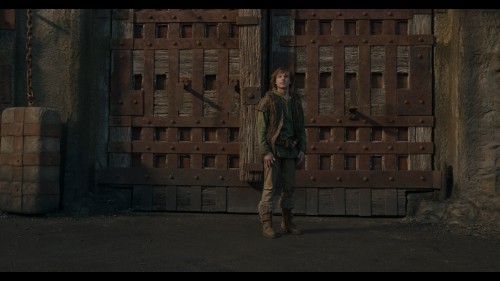 How.To.Train.Your.Dragon.2025.2160p.IMAX.UHD.BluRay.x265.DV.HDR10.BD.Atmos.7.1.DuaL.mkv_snapshot_00.53.06.448.jpg
