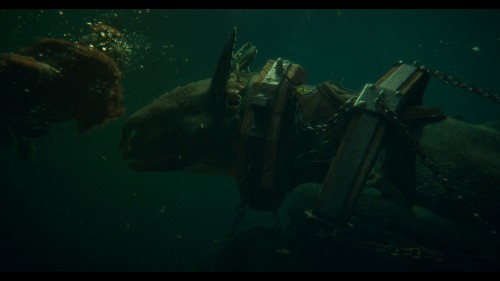 How.to.Train.Your.Dragon.2025.BluRay.IMAX.1080.Remux.AVC.TrueHD.DDP5.1.DUAL.E-AC3.TORK.mkv_snapshot_01.43.37.595.jpg