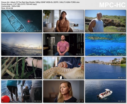 Attack.Of.The.Red.Sea.Sharks.1080p.DSNP.WEB-DL.DDP5.1.MULTI.H264-TORK.mkv.jpg