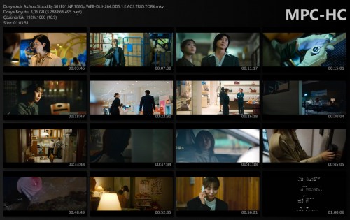 As.You.Stood.By.S01E01.NF.1080p.WEB-DL.H264.DD5.1.E.AC3.TRIO.TORK.mkv_thumbs.jpg