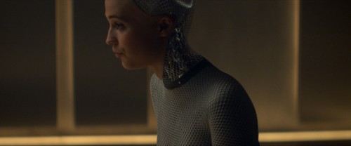 Ex.Machina.2014.AMZN.WEB-DL.1080p.H264.DD5.1.E-AC3.DUAL.TORK.mkv_snapshot_00.30.12.065.jpg