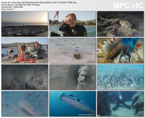 Derin.Mavi.S01E09.Bolum09.1080p.WEB-DL.AAC.TR.H264-TORK.mkv.jpg