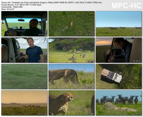 Cheetahs.Up.Close.with.Bertie.Gregory.1080p.DSNP.WEB-DL.DDP5.1.AAC.MULTI.H264-TORK.mkv.jpg