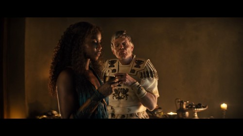 Spartacus.House.of.Ashur.S01E09.GerIde.Kalanlar.1080p.AMZN.WEB-DL.DDP2.0.MULTI.H.264-TORK.mkv_snapshot_34.06.498.jpg