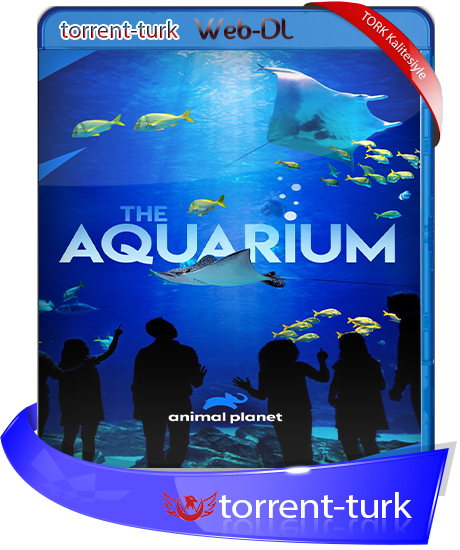 The.Aquarium-TORK.png