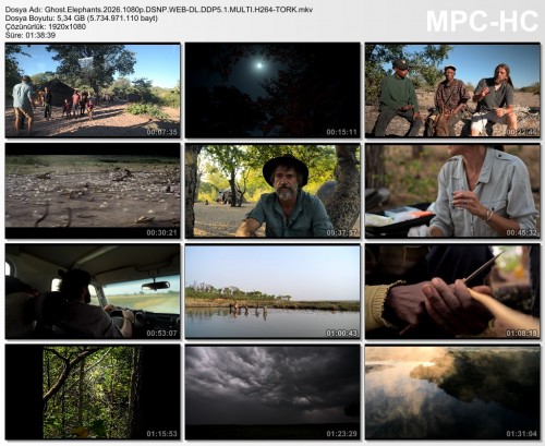 Ghost.Elephants.2026.1080p.DSNP.WEB-DL.DDP5.1.MULTI.H264-TORK.mkv.jpg